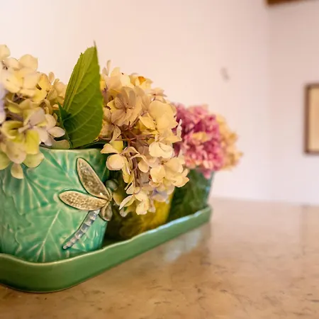 Quinta Da Maria Mendes Prázdninový dům Serpins