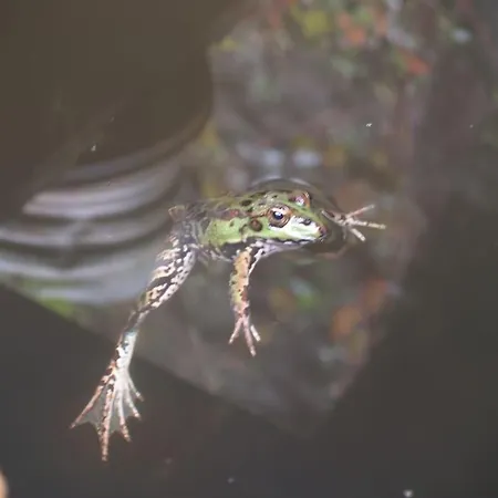Quinta Da Maria Mendes Prázdninový dům *