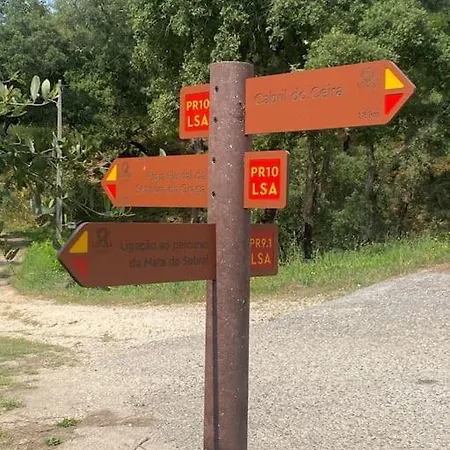 Quinta Da Maria Mendes * Serpins