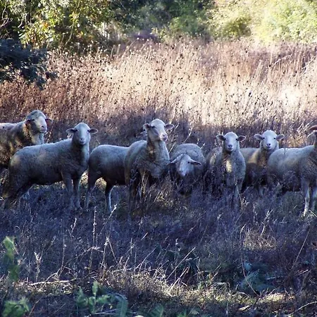 Prázdninový dům Quinta Da Maria Mendes *