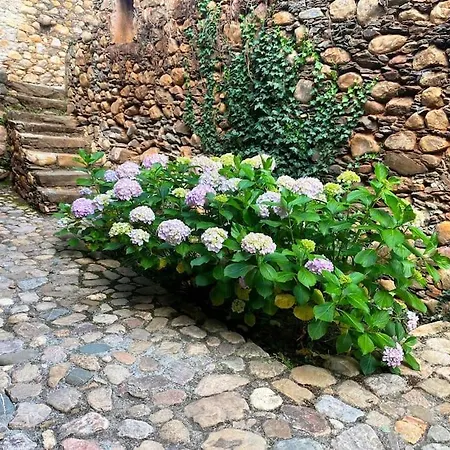 Quinta Da Maria Mendes Holiday home Serpins