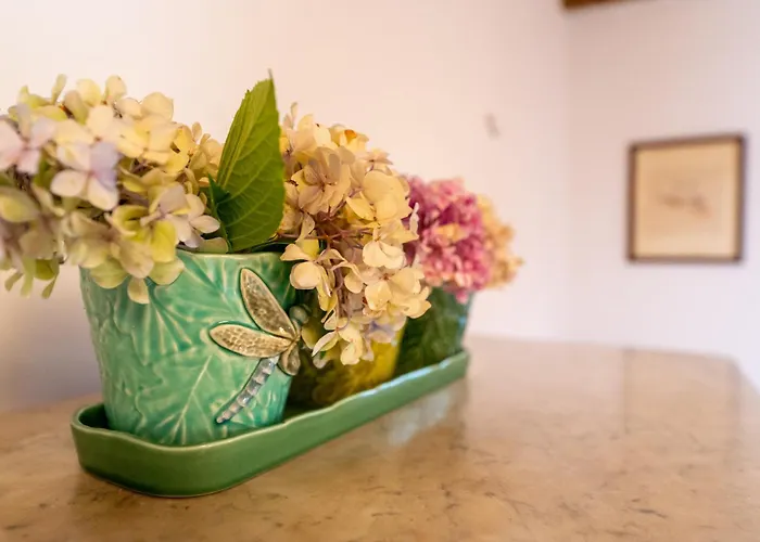 Quinta Da Maria Mendes Nyaraló Serpins