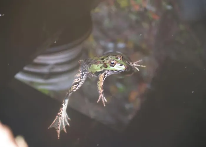 Quinta Da Maria Mendes Nyaraló *