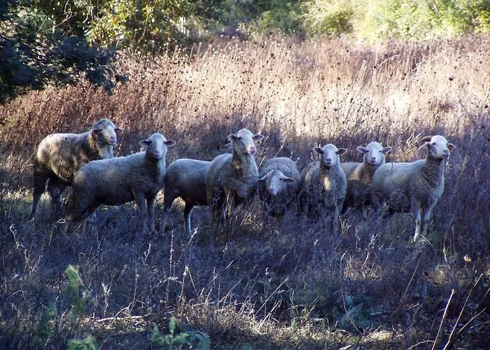 Nyaraló Quinta Da Maria Mendes *